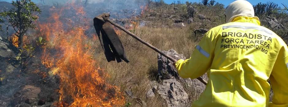 imagem de destaque