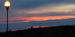 Unveil 8a21a6f614db065bb1ca2c21a5c803aede783f93e5277febbd47f37d9dbae4ca