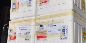 Unveil 8a21a6f614db065bb1ca2c21a5c803aede783f93e5277febbd47f37d9dbae4ca