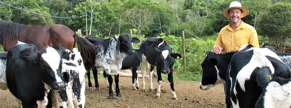 imagem de destaque