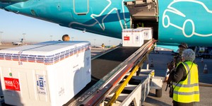 Unveil 8a21a6f614db065bb1ca2c21a5c803aede783f93e5277febbd47f37d9dbae4ca