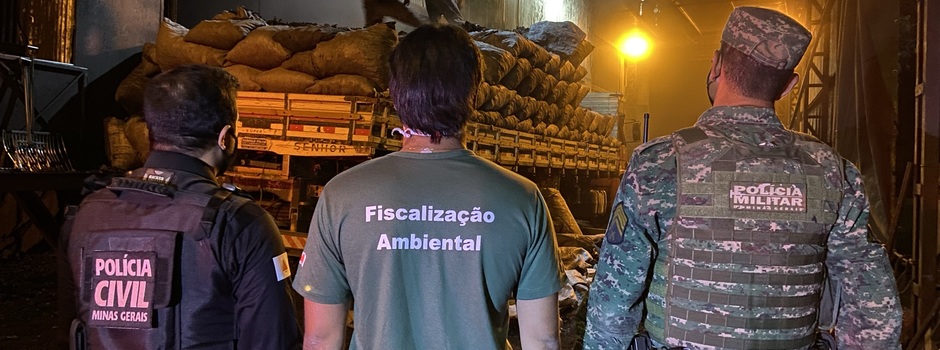 imagem de destaque
