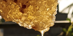 Unveil 8a21a6f614db065bb1ca2c21a5c803aede783f93e5277febbd47f37d9dbae4ca