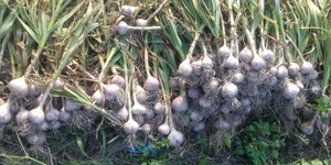 Unveil 8a21a6f614db065bb1ca2c21a5c803aede783f93e5277febbd47f37d9dbae4ca