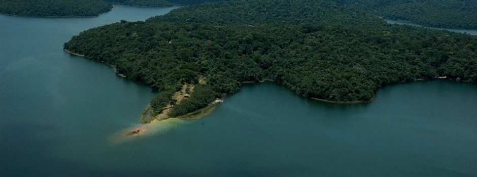 imagem de destaque