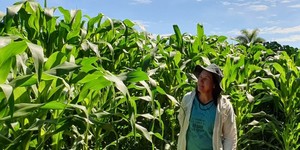 Unveil 8a21a6f614db065bb1ca2c21a5c803aede783f93e5277febbd47f37d9dbae4ca