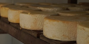 Unveil 8a21a6f614db065bb1ca2c21a5c803aede783f93e5277febbd47f37d9dbae4ca