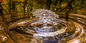 Unveil 8a21a6f614db065bb1ca2c21a5c803aede783f93e5277febbd47f37d9dbae4ca