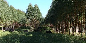 Unveil 8a21a6f614db065bb1ca2c21a5c803aede783f93e5277febbd47f37d9dbae4ca