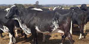 Unveil 8a21a6f614db065bb1ca2c21a5c803aede783f93e5277febbd47f37d9dbae4ca