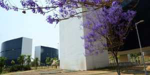 Unveil 8a21a6f614db065bb1ca2c21a5c803aede783f93e5277febbd47f37d9dbae4ca