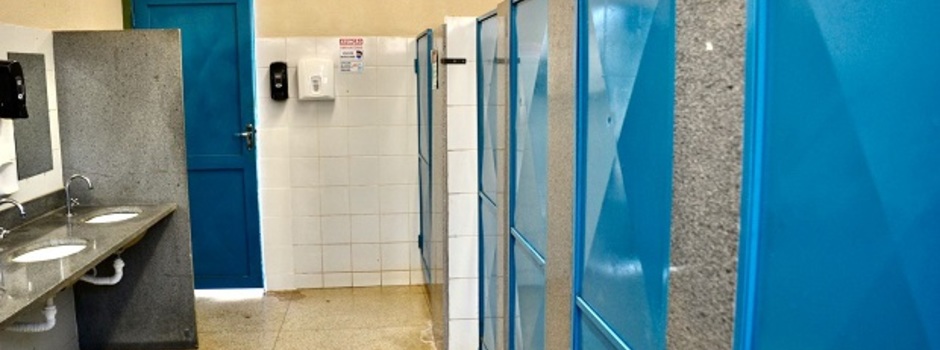 imagem de destaque