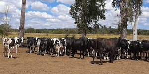 Unveil 8a21a6f614db065bb1ca2c21a5c803aede783f93e5277febbd47f37d9dbae4ca