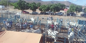 Unveil 8a21a6f614db065bb1ca2c21a5c803aede783f93e5277febbd47f37d9dbae4ca