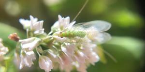 Unveil 8a21a6f614db065bb1ca2c21a5c803aede783f93e5277febbd47f37d9dbae4ca