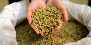 Unveil 8a21a6f614db065bb1ca2c21a5c803aede783f93e5277febbd47f37d9dbae4ca