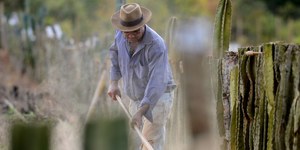 Unveil 8a21a6f614db065bb1ca2c21a5c803aede783f93e5277febbd47f37d9dbae4ca