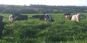 Unveil 8a21a6f614db065bb1ca2c21a5c803aede783f93e5277febbd47f37d9dbae4ca