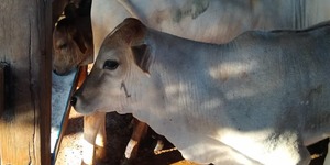 Unveil 8a21a6f614db065bb1ca2c21a5c803aede783f93e5277febbd47f37d9dbae4ca