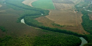 Unveil 8a21a6f614db065bb1ca2c21a5c803aede783f93e5277febbd47f37d9dbae4ca