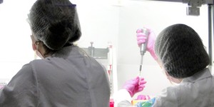 Unveil 8a21a6f614db065bb1ca2c21a5c803aede783f93e5277febbd47f37d9dbae4ca