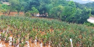 Unveil 8a21a6f614db065bb1ca2c21a5c803aede783f93e5277febbd47f37d9dbae4ca