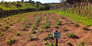 Unveil 8a21a6f614db065bb1ca2c21a5c803aede783f93e5277febbd47f37d9dbae4ca