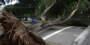 Unveil 8a21a6f614db065bb1ca2c21a5c803aede783f93e5277febbd47f37d9dbae4ca