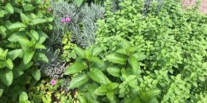 Unveil 8a21a6f614db065bb1ca2c21a5c803aede783f93e5277febbd47f37d9dbae4ca