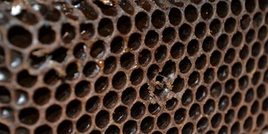 Unveil 8a21a6f614db065bb1ca2c21a5c803aede783f93e5277febbd47f37d9dbae4ca