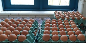 Unveil 8a21a6f614db065bb1ca2c21a5c803aede783f93e5277febbd47f37d9dbae4ca