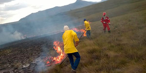 Unveil 8a21a6f614db065bb1ca2c21a5c803aede783f93e5277febbd47f37d9dbae4ca