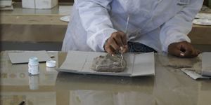 Unveil 8a21a6f614db065bb1ca2c21a5c803aede783f93e5277febbd47f37d9dbae4ca