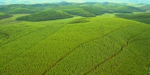 Unveil 8a21a6f614db065bb1ca2c21a5c803aede783f93e5277febbd47f37d9dbae4ca