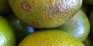 Unveil 8a21a6f614db065bb1ca2c21a5c803aede783f93e5277febbd47f37d9dbae4ca