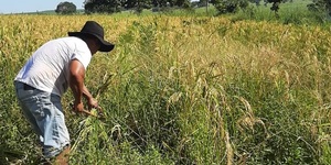 Unveil 8a21a6f614db065bb1ca2c21a5c803aede783f93e5277febbd47f37d9dbae4ca