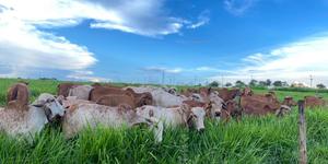 Unveil 8a21a6f614db065bb1ca2c21a5c803aede783f93e5277febbd47f37d9dbae4ca