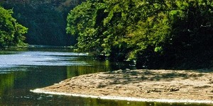 Unveil 8a21a6f614db065bb1ca2c21a5c803aede783f93e5277febbd47f37d9dbae4ca