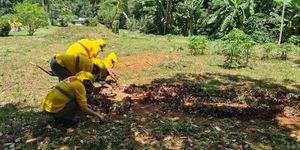 Unveil 8a21a6f614db065bb1ca2c21a5c803aede783f93e5277febbd47f37d9dbae4ca