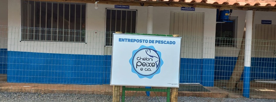 imagem de destaque