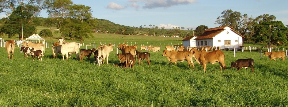imagem de destaque