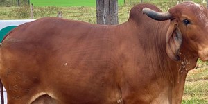 Unveil 8a21a6f614db065bb1ca2c21a5c803aede783f93e5277febbd47f37d9dbae4ca