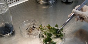 Unveil 8a21a6f614db065bb1ca2c21a5c803aede783f93e5277febbd47f37d9dbae4ca