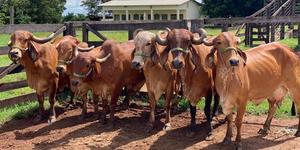 Unveil 8a21a6f614db065bb1ca2c21a5c803aede783f93e5277febbd47f37d9dbae4ca