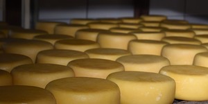 Unveil 8a21a6f614db065bb1ca2c21a5c803aede783f93e5277febbd47f37d9dbae4ca