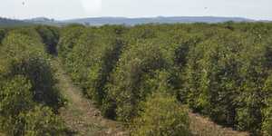 Unveil 8a21a6f614db065bb1ca2c21a5c803aede783f93e5277febbd47f37d9dbae4ca