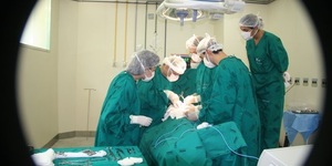 Unveil 8a21a6f614db065bb1ca2c21a5c803aede783f93e5277febbd47f37d9dbae4ca