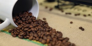 Unveil 8a21a6f614db065bb1ca2c21a5c803aede783f93e5277febbd47f37d9dbae4ca