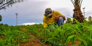 Unveil 8a21a6f614db065bb1ca2c21a5c803aede783f93e5277febbd47f37d9dbae4ca