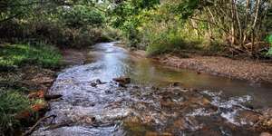 Unveil 8a21a6f614db065bb1ca2c21a5c803aede783f93e5277febbd47f37d9dbae4ca